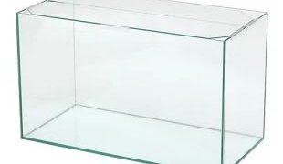 オールガラス水槽は水漏れする？注意点と寿命を延ばすコツ – 水槽抱え